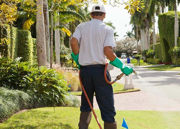 About Fowler CA Pest Control Pros